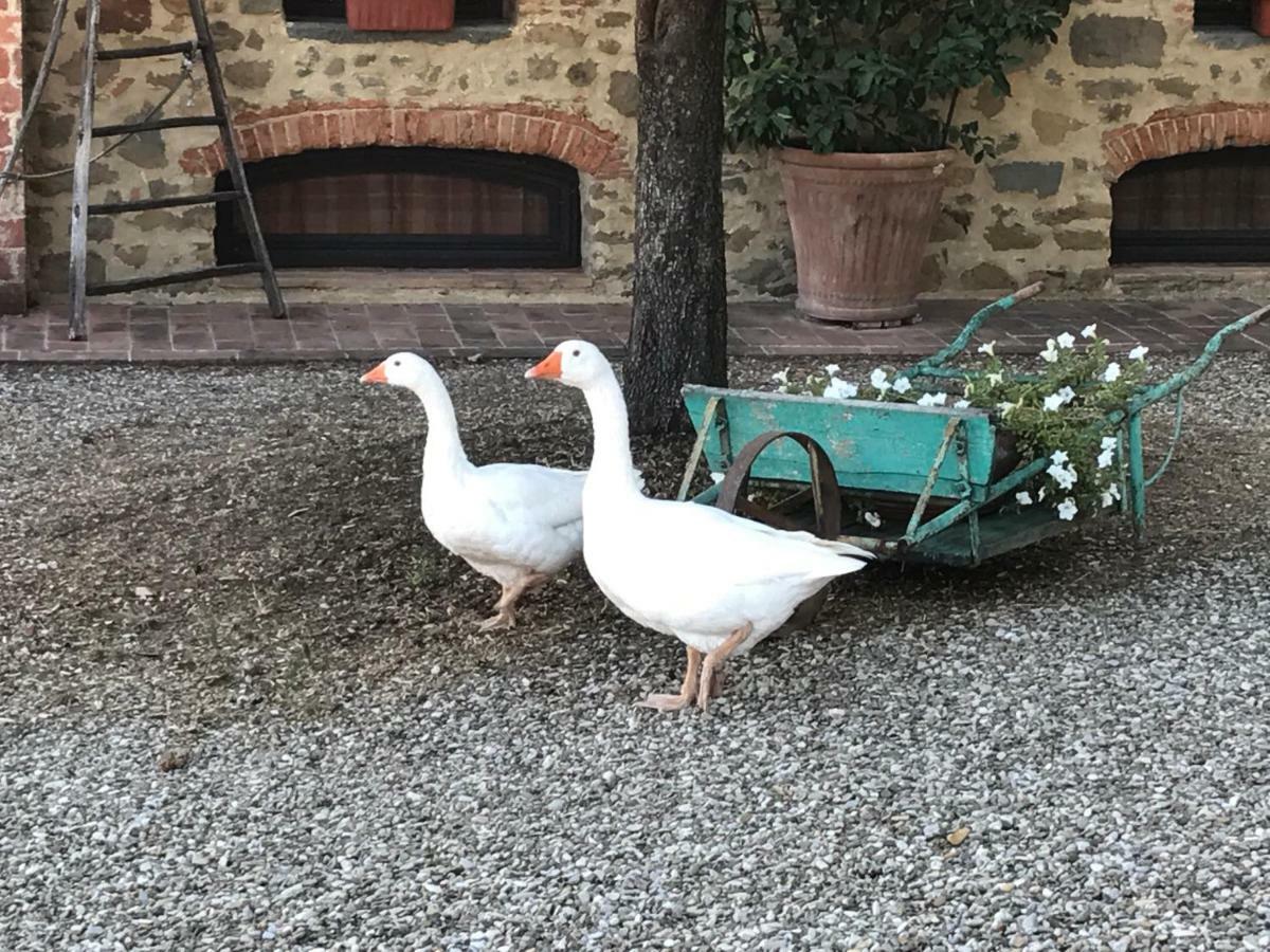 Podere La Fausta